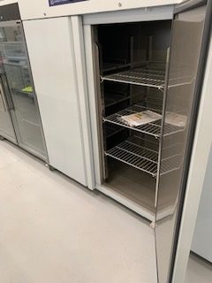 IMG_1035